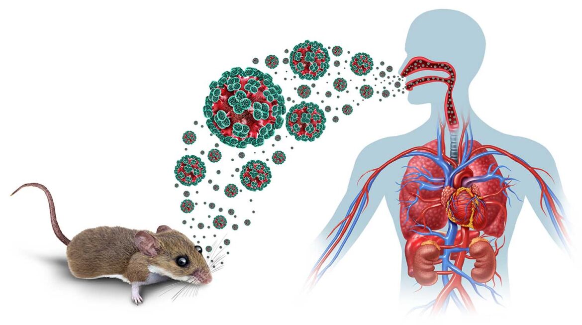 Hantavirus: ¿Una nueva amenaza?