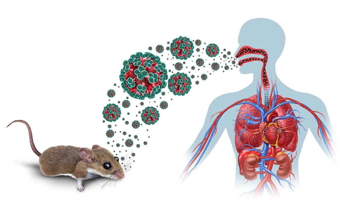 Hantavirus: ¿Una nueva amenaza?