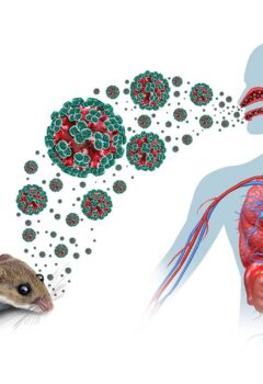 Hantavirus: ¿Una nueva amenaza?