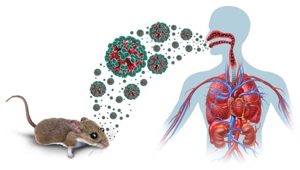 Hantavirus: ¿Una nueva amenaza?